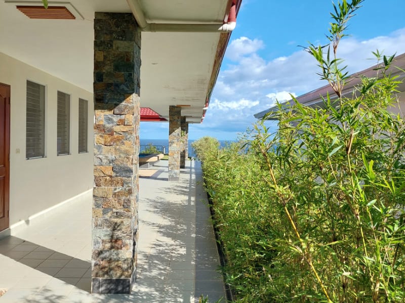 Backyard with clothesline